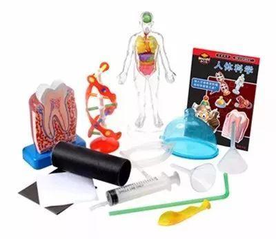 玩具里的科學 讓孩子從“王者”回歸實驗桌